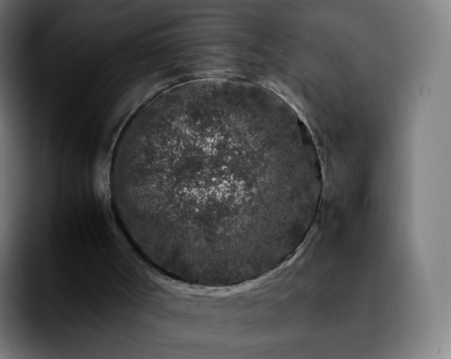 X0000092230002200709211034