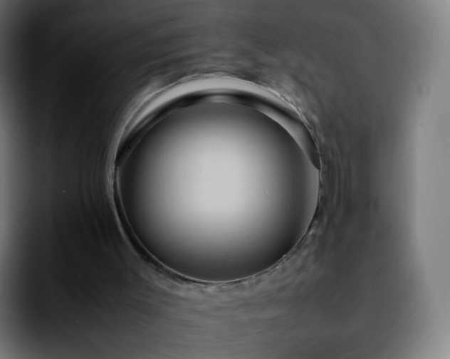 X0000092230003200709211034