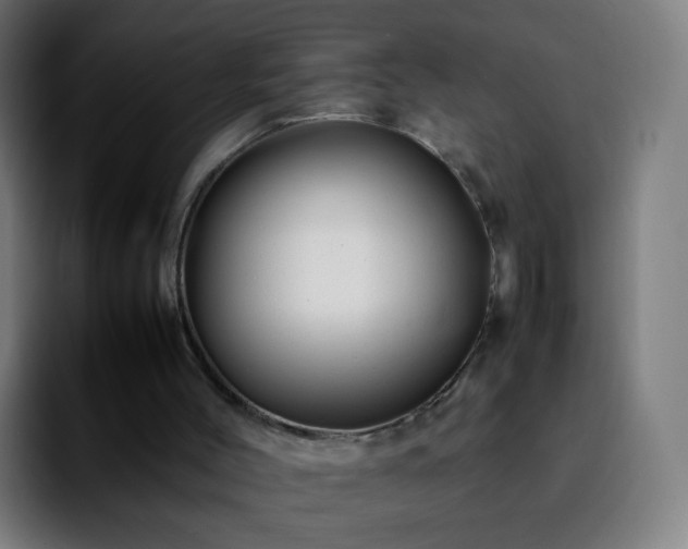 X0000092230004200709211034