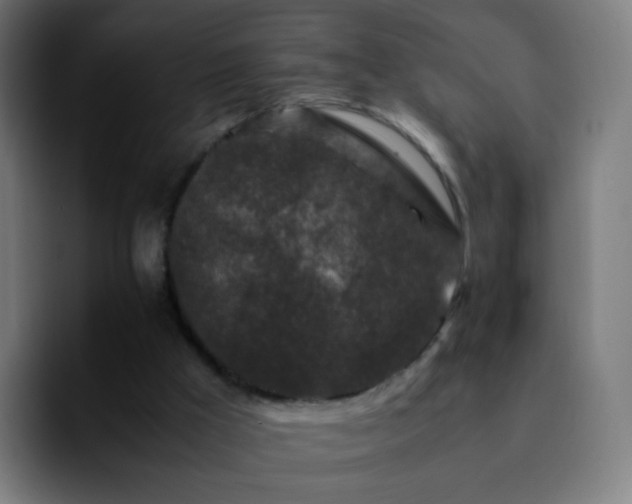 X0000092230009200709211034