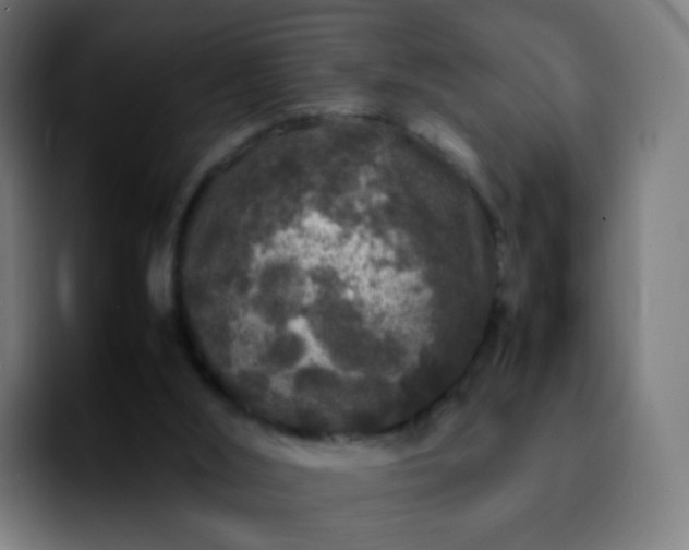 X0000092230012200709211034