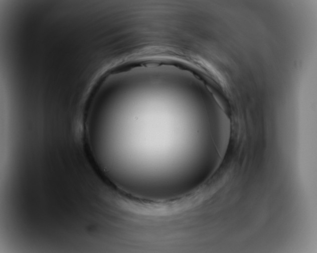 X0000092230015200709211034