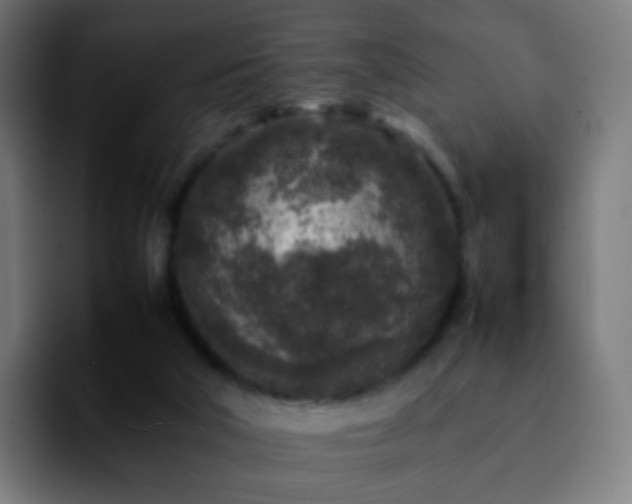X0000092230018200709211034