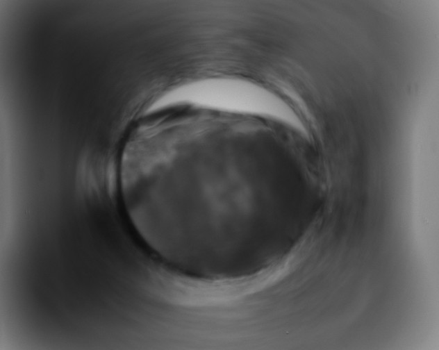 X0000092230019200709211034