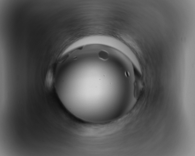 X0000092230021200709211033