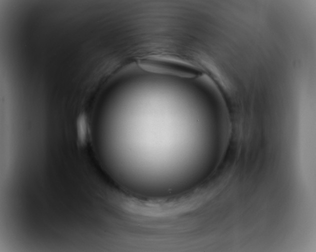 X0000092230022200709211033