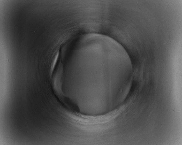 X0000092230027200709211033