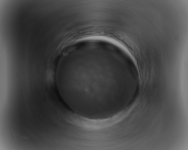 X0000092230035200709211033