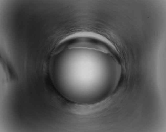 X0000092230037200709211033