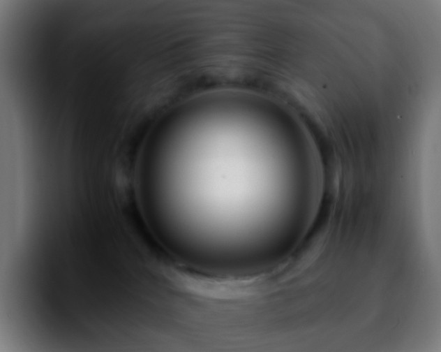 X0000092230040200709211033