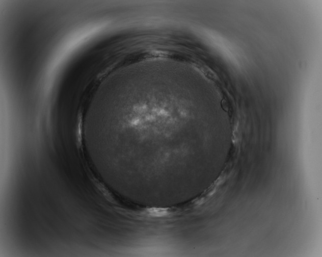 X0000092230052200709211033