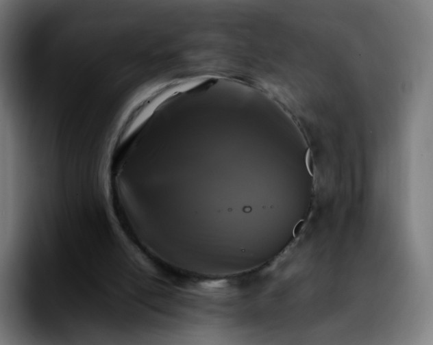 X0000092230054200709211033