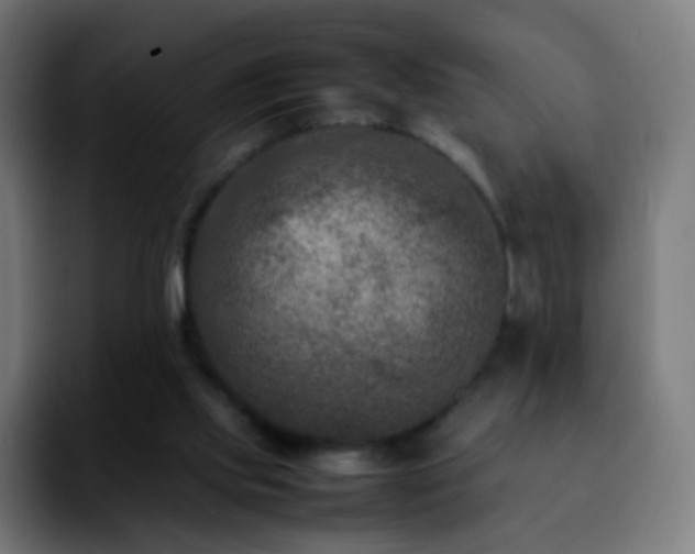 X0000092230061200709211033