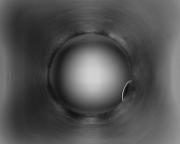 X0000092230066200709211033