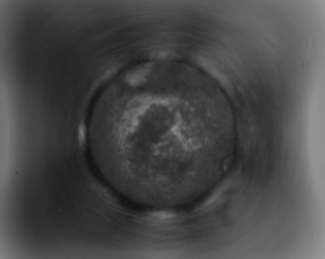 X0000092230067200709211033