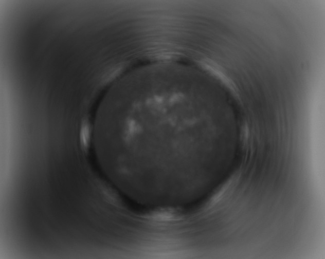 X0000092230076200709211033