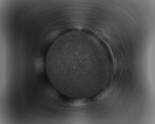 X0000092230080200709211033