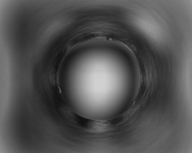 X0000092230093200709211033