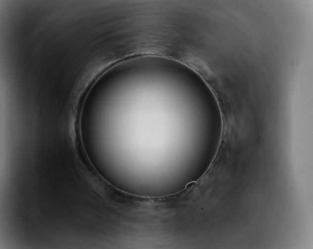 X0000092230098200709211033