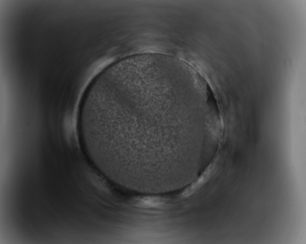 X0000092230104200709211033
