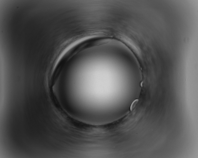 X0000092230107200709211032