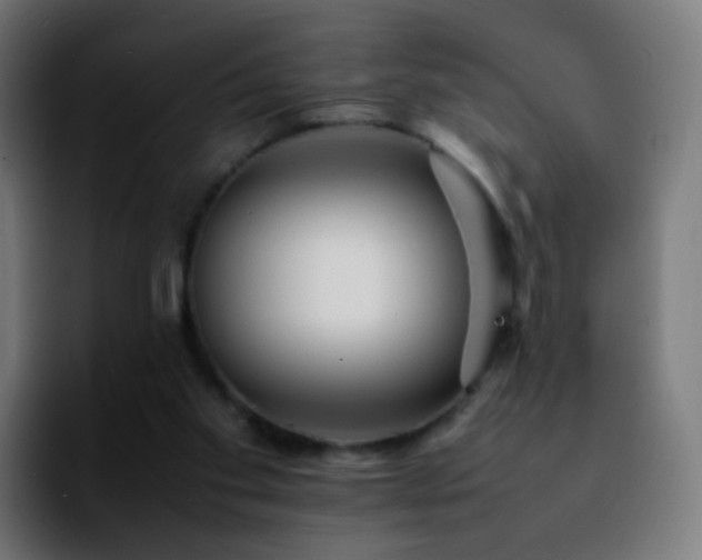 X0000092230109200709211032