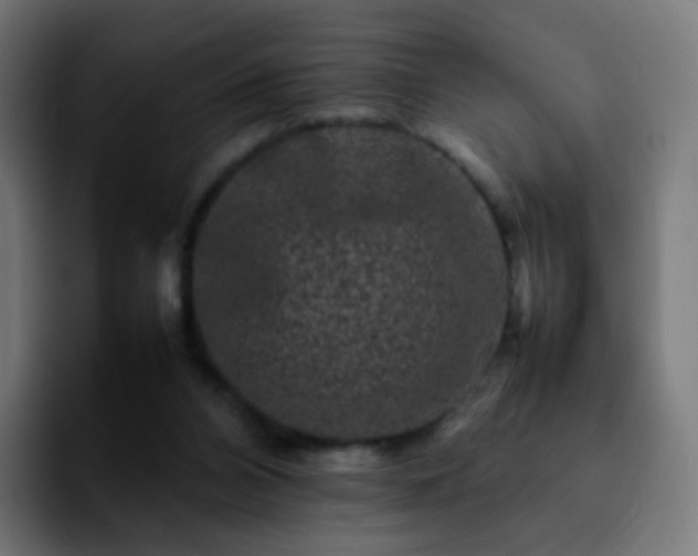 X0000092230112200709211032