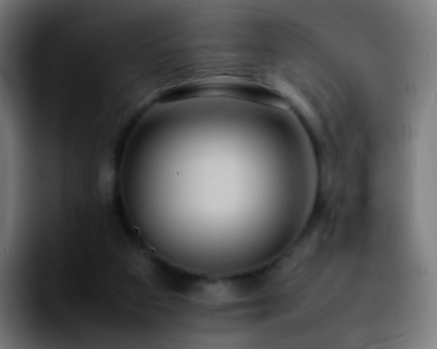 X0000092230113200709211032