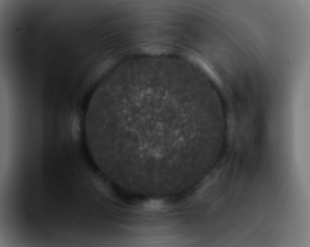 X0000092230114200709211032
