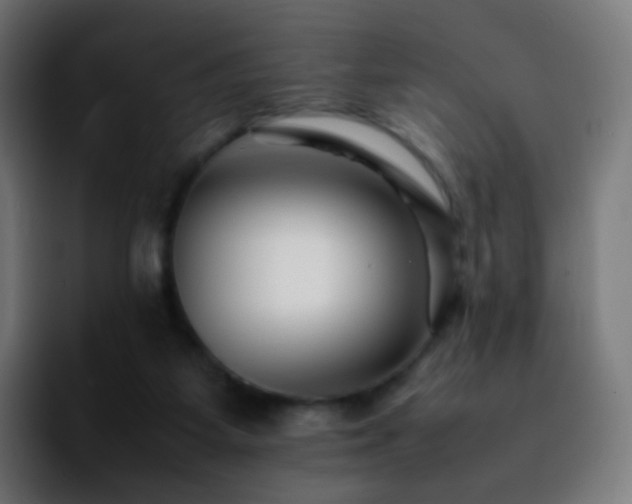 X0000092230115200709211032
