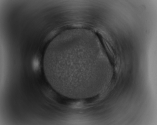 X0000092230116200709211032