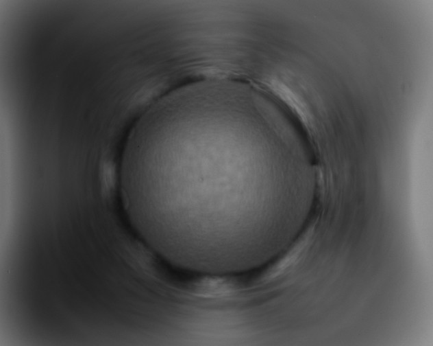X0000092230117200709211032