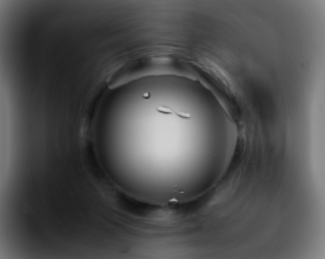 X0000092230119200709211032