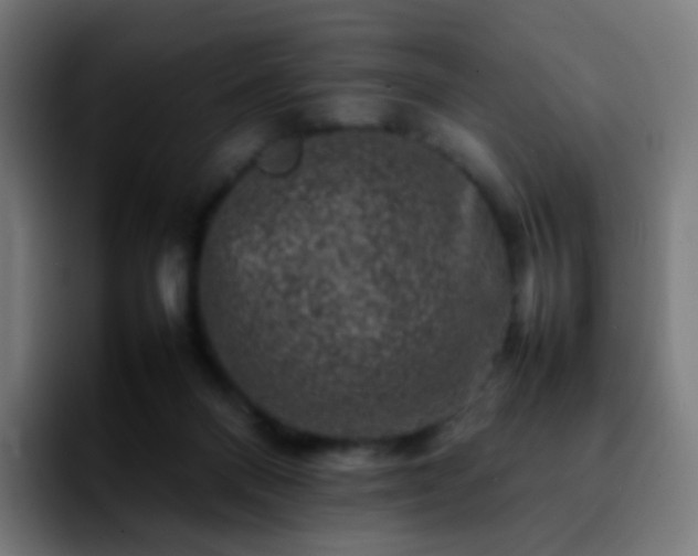 X0000092230120200709211032