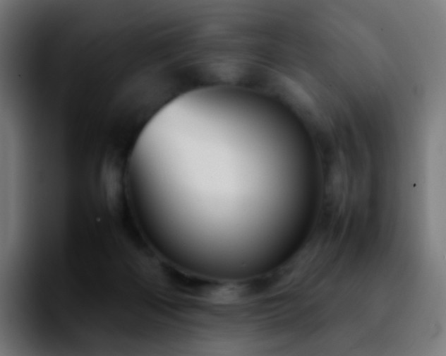 X0000092230122200709211032