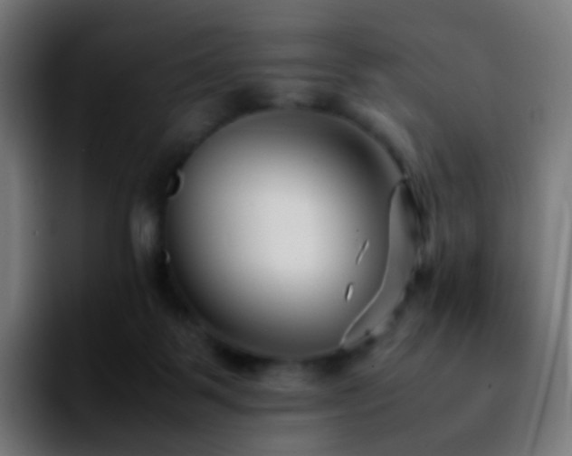 X0000092230123200709211032