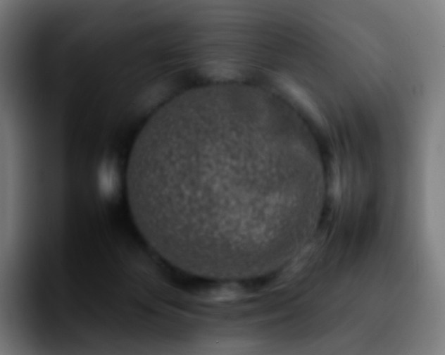 X0000092230124200709211032
