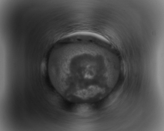 X0000092230127200709211032