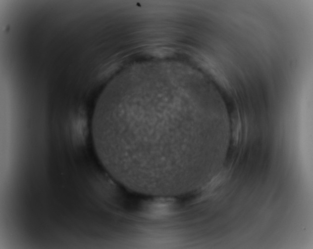 X0000092230128200709211032
