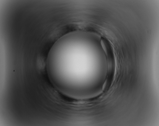 X0000092230129200709211032