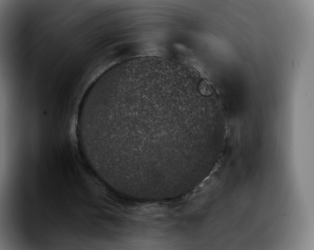 X0000092230146200709211032