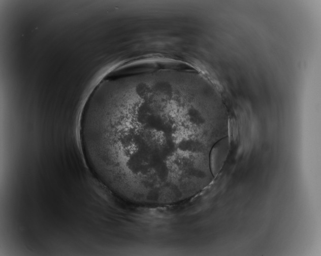 X0000092230147200709211032