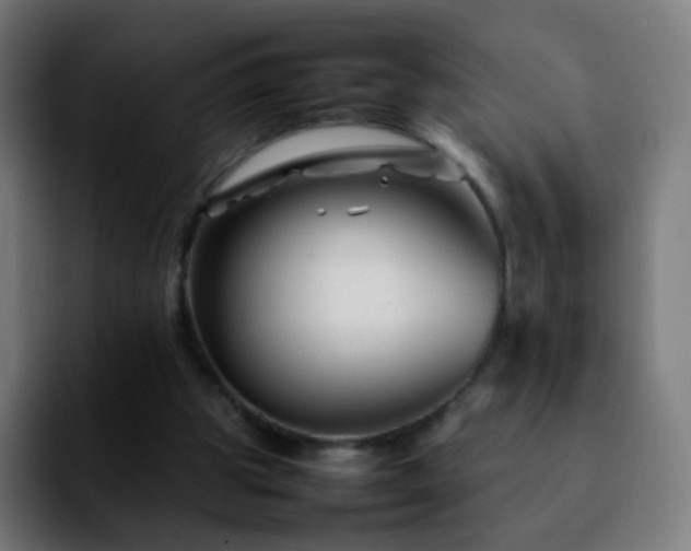 X0000092230153200709211032
