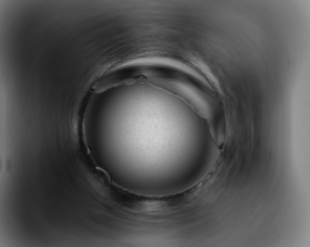 X0000092230154200709211032