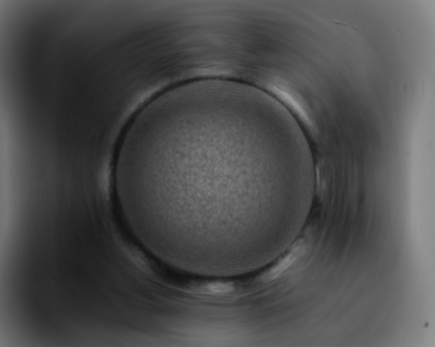 X0000092230156200709211032