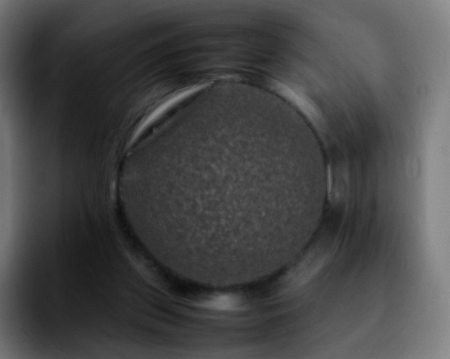 X0000092230157200709211032