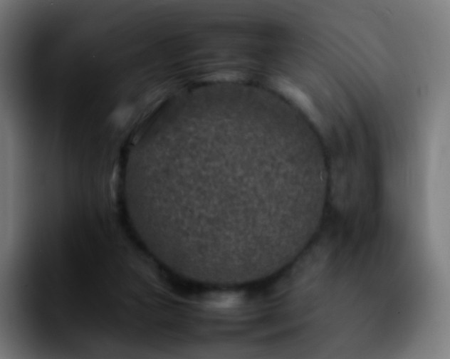 X0000092230161200709211032