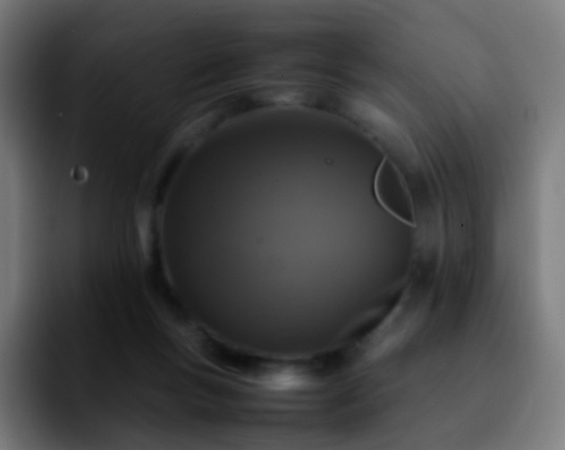 X0000092230167200709211032