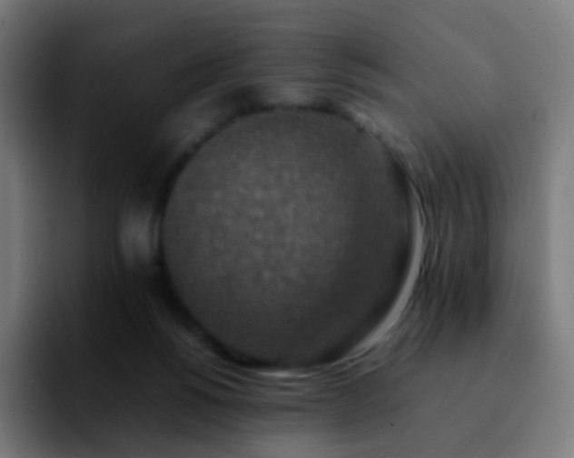 X0000092230168200709211032
