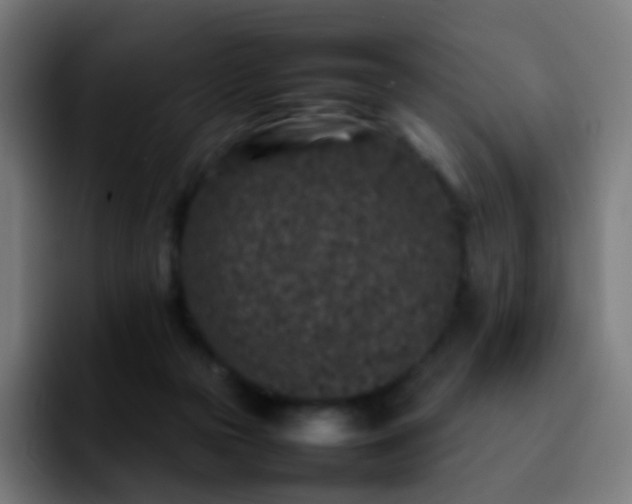 X0000092230169200709211032